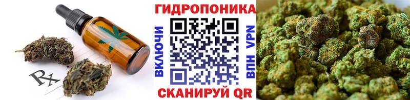 где купить наркотик  Дзержинск  KRAKEN ссылки  Печенье с ТГК марихуана 