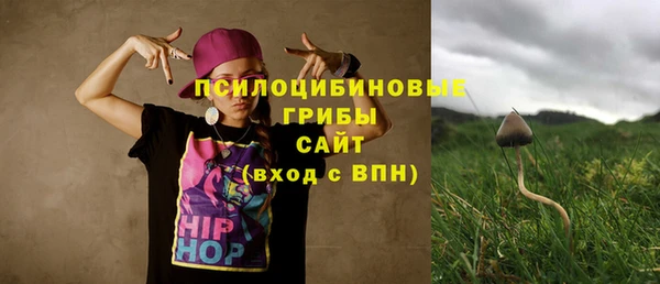 mix Алексин