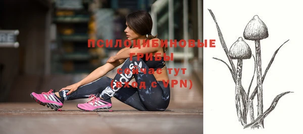mix Алексин