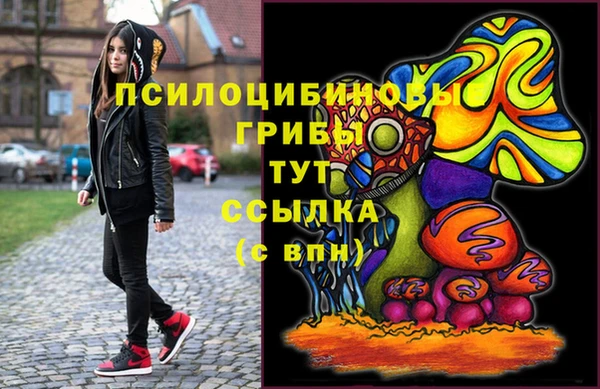 сатива Алексеевка