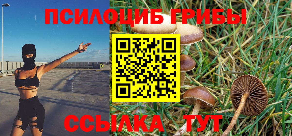 Псилоцибиновые грибы MAGIC MUSHROOMS Дзержинск