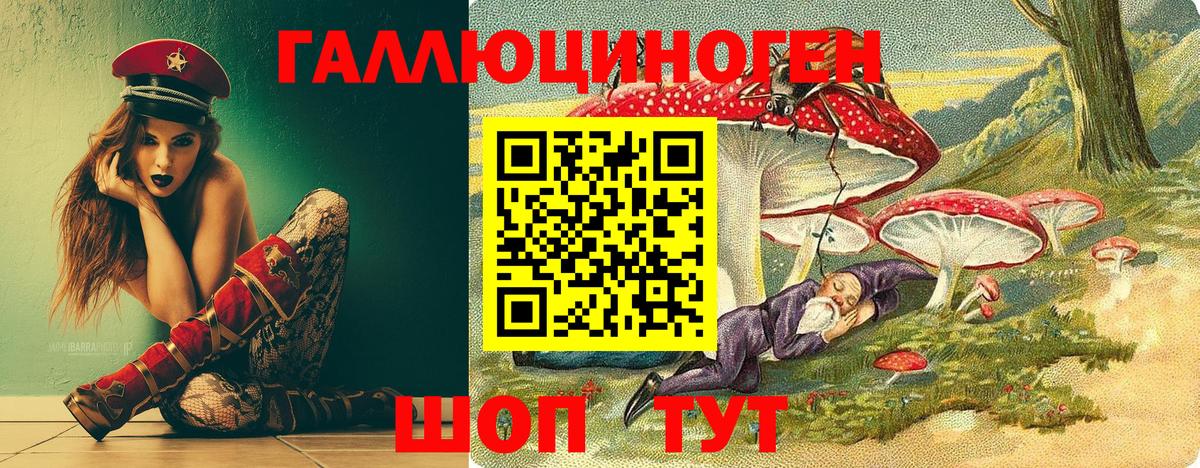 Галлюциногенные грибы Psilocybe  Галлюциногенные грибы Psilocybine cubensis  Дзержинск  цена   Вход с VPN 